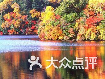 为什么有人抽烟还能长寿？背后3个“真相”，可能很多人不了解